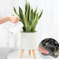 Calla-a vaso autoinnaffiante esterno interno bianco opaco e legno massello finitura rovere 1.5 litri d19xh33 cm
