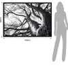 Winter tree quadro stampa su tela h90 l140 p3 cm